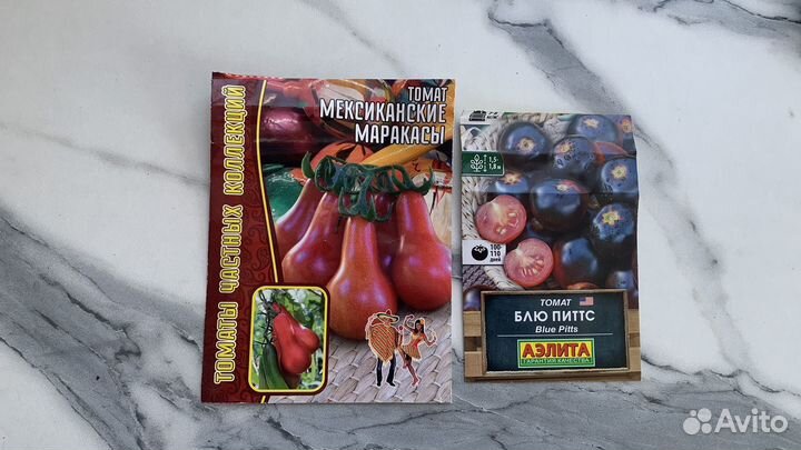 Рассада томатов