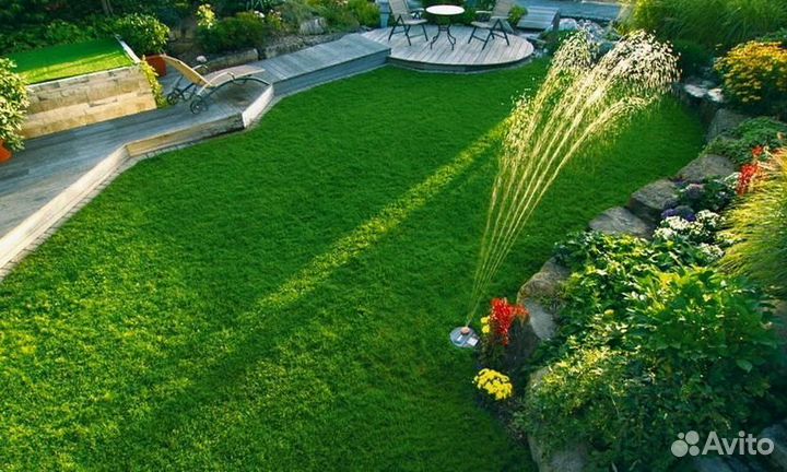 Мшанка - Цветущий Газон Р50 - Alena.park