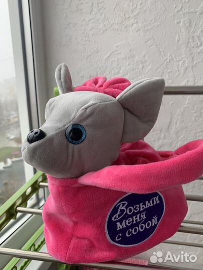 Собачка в сумочке