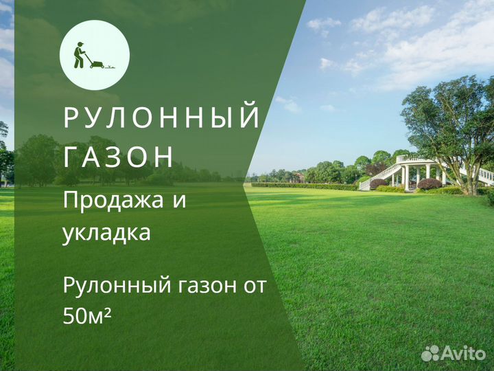 Укладка и продажа газона