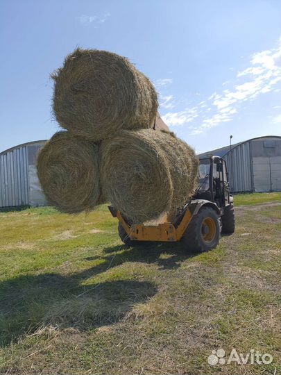 Сено в рулонах