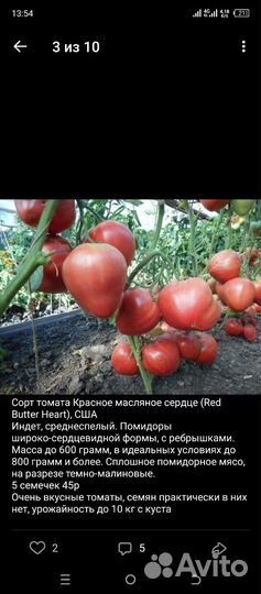 Семена овощей коллекционные