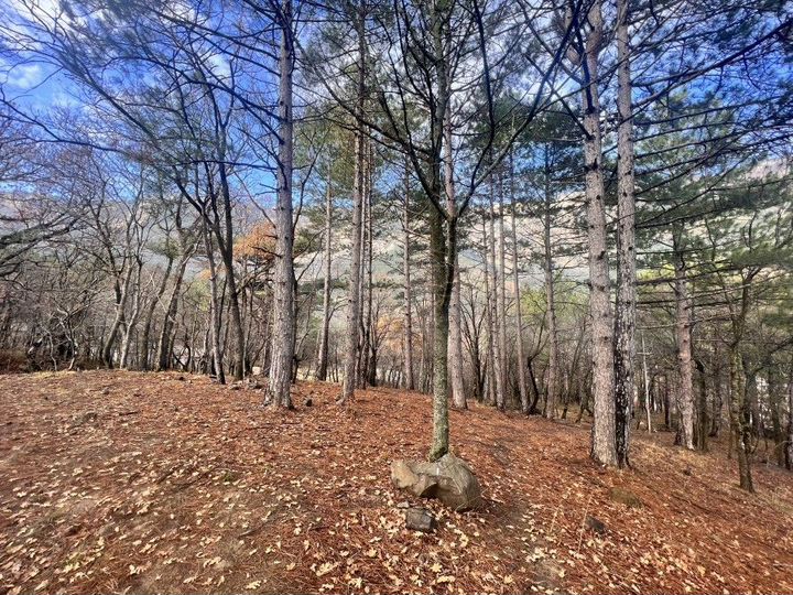 Участок 6 сот. (ИЖС)