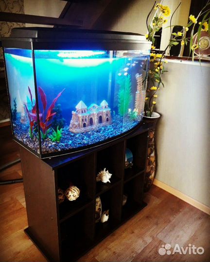 Аквариум сферический 145 литров новый