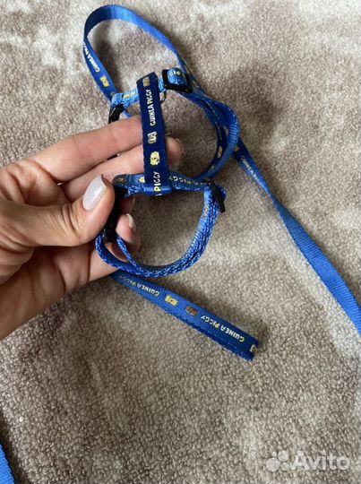 Поводок шлейка для морских свинок