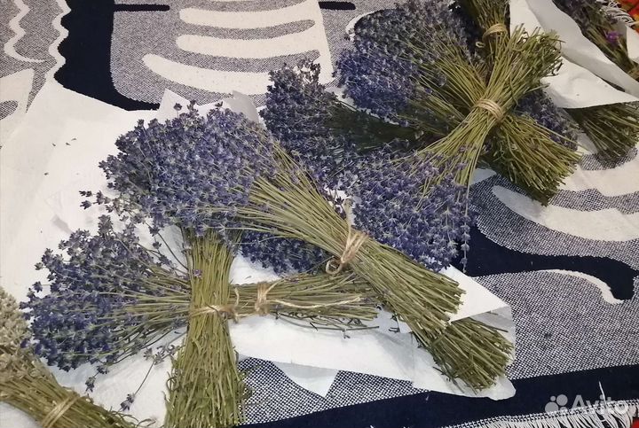 Лаванда букеты сухоцветов (синяя и сине-белая)