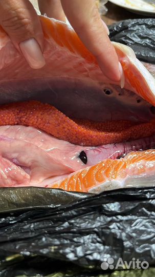 Форель на стейки Доставка бесплатно