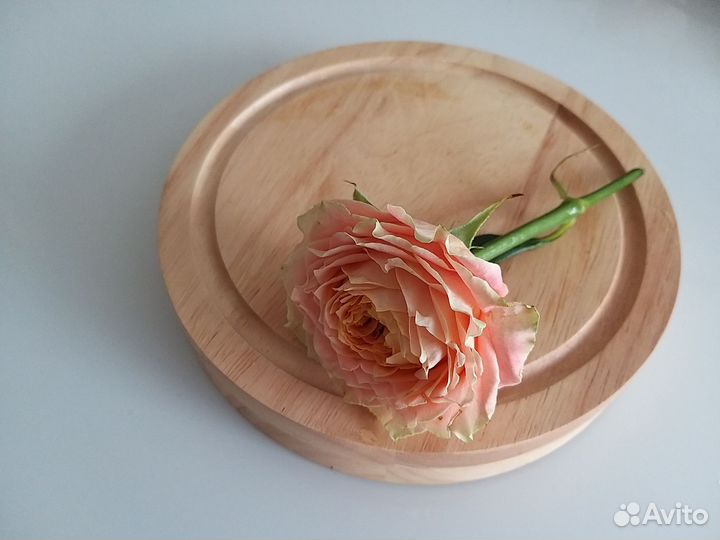 Набор для сыра 5 предметов