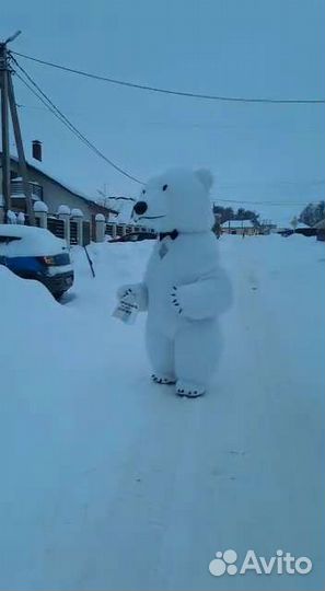 Экспресс-поздравление Белый мишка,Бурый