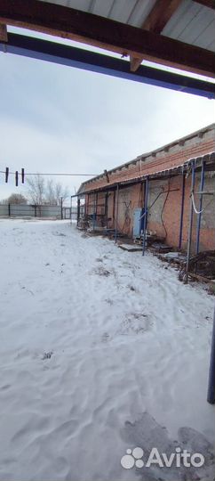 Рыбное производство