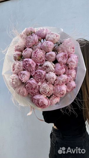 Букет пионов. Доставка в аквабоксе