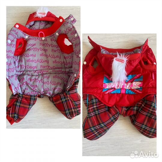 Одежда для собак