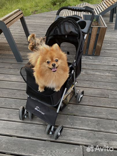 Коляска для собак