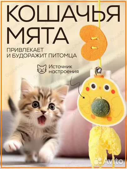 Инфографика товарных карточек для маркетплейсов