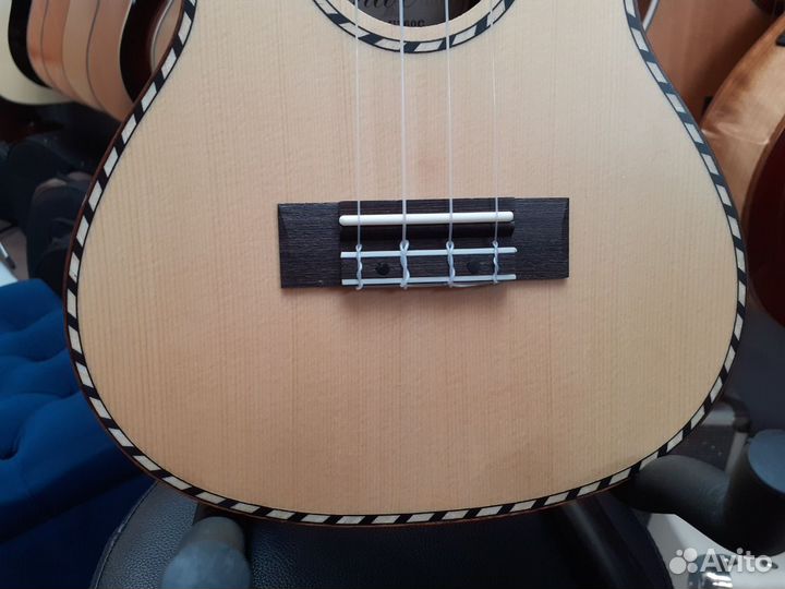 Укулеле концерт