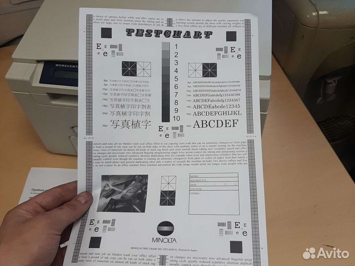 Мфу 3в1 принтер сканер копир xerox 3119