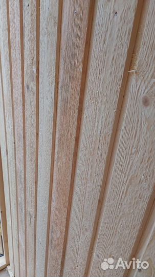 Вагонка хвоя