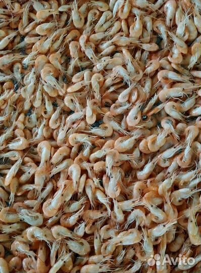 Креветка азовская свежемороженная