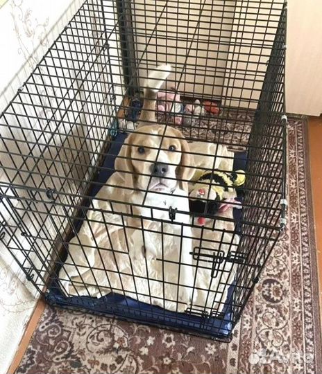 Клетки для небольших собак №3
