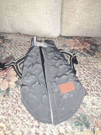 Одежда для собак мелких пород