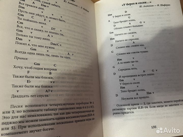 Подружись с гитарой - Разумовский Вячеслав