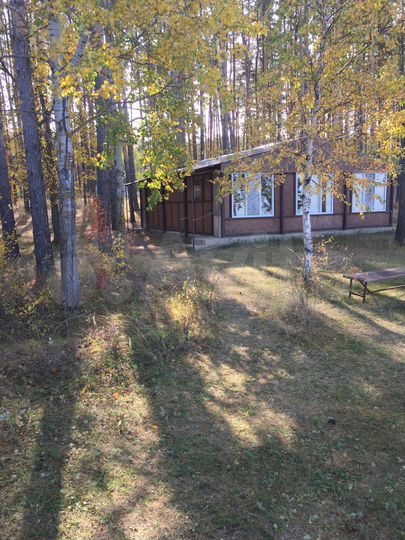 Участок 91,8 сот. (СНТ, ДНП)