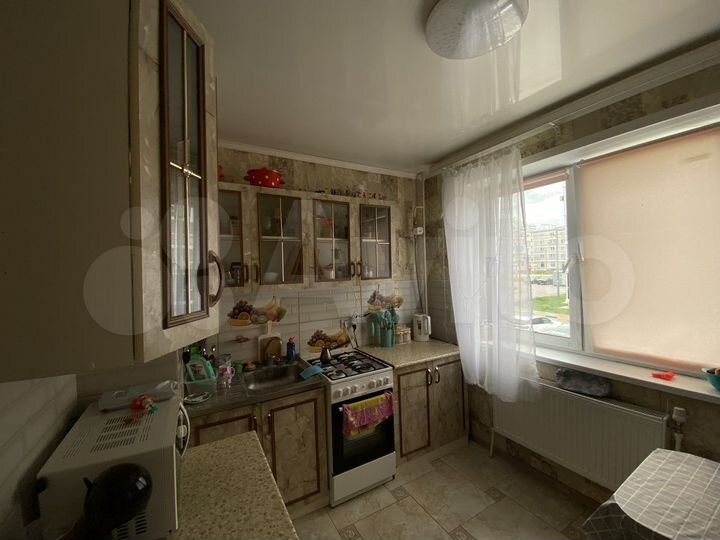 1-к. квартира, 26,9 м², 2/5 эт.