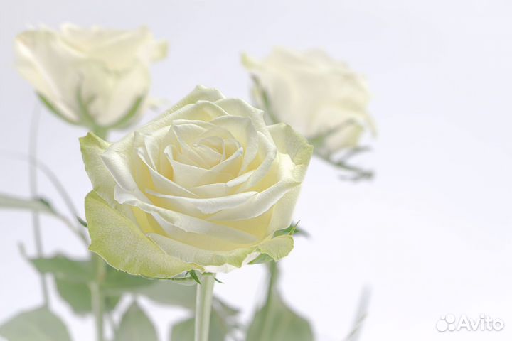 Выливка воском