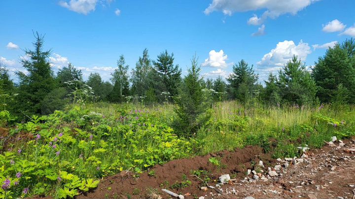 Участок 8,2 сот. (ИЖС)