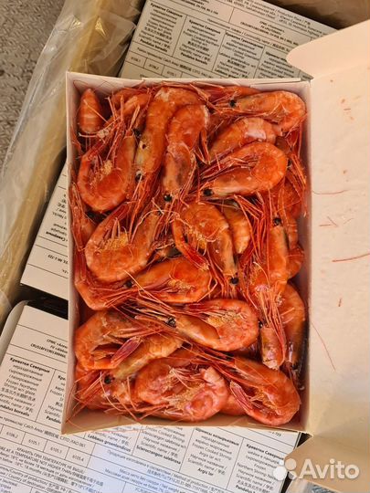 Креветка северная 70/90, 1кг. Лангустины L2