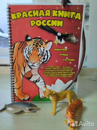 Развивающие тетради пиши -стирай на липучках