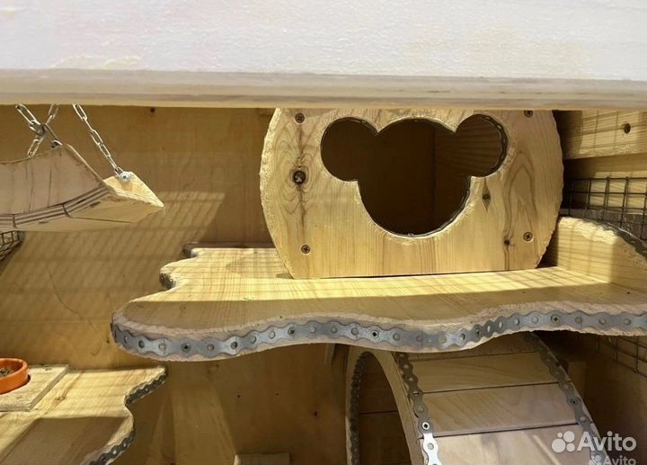 Витрина для шиншилл