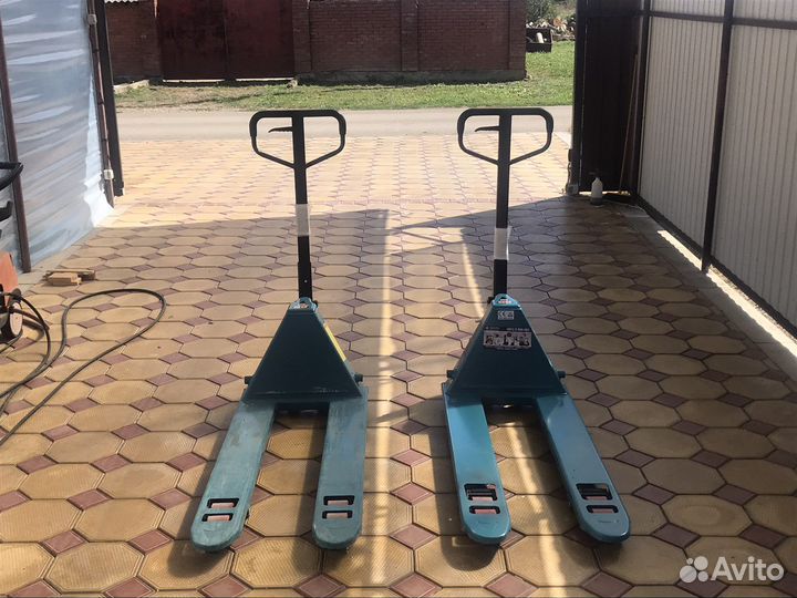 Рохля в аренду
