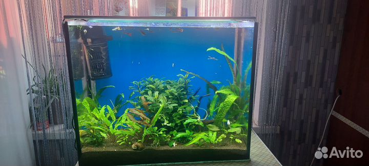 Аквариум