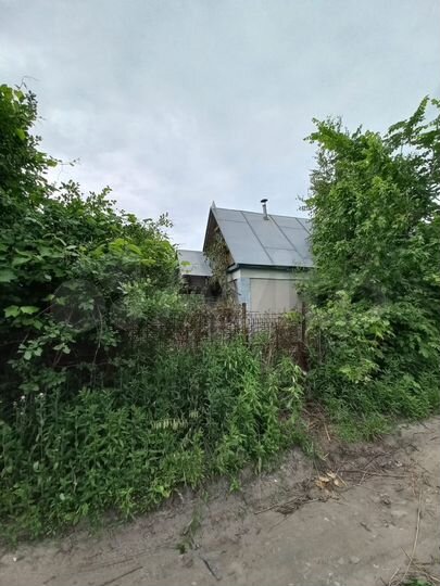 Участок 4 сот. (СНТ, ДНП)
