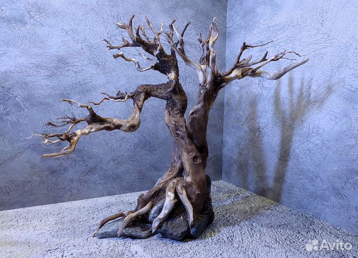 Коряги бонсай