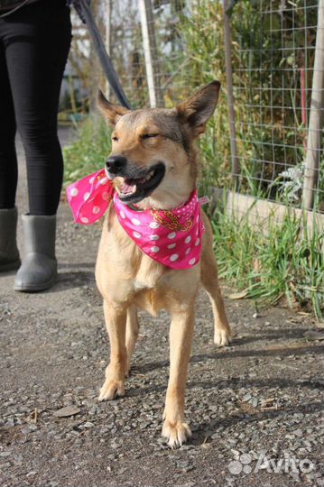 Мечтает о маме