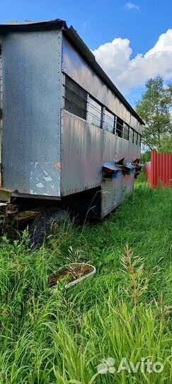 Пчелосемьи