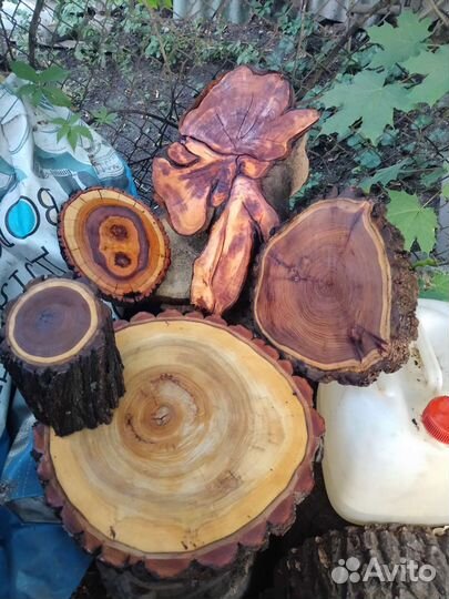 Аксессуары сосна карагач