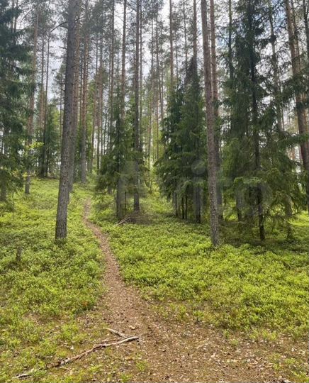 Участок 5 сот. (СНТ, ДНП)