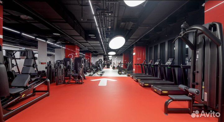 2 месяца в World class