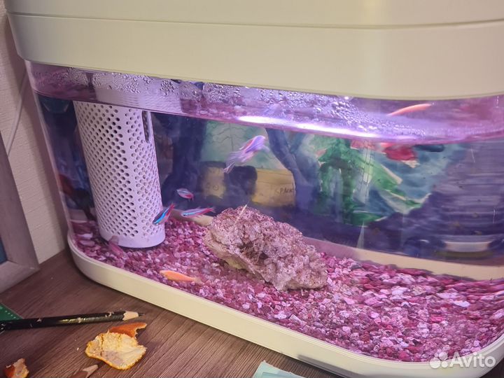 Аквариум для рыбок от Xiaomi