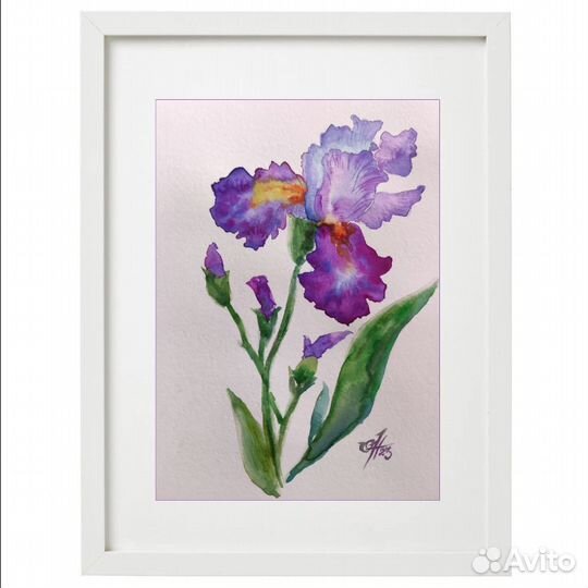 Картина Акварель Ирисы