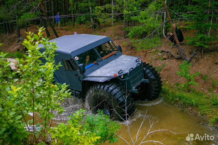 Снегоболотоход