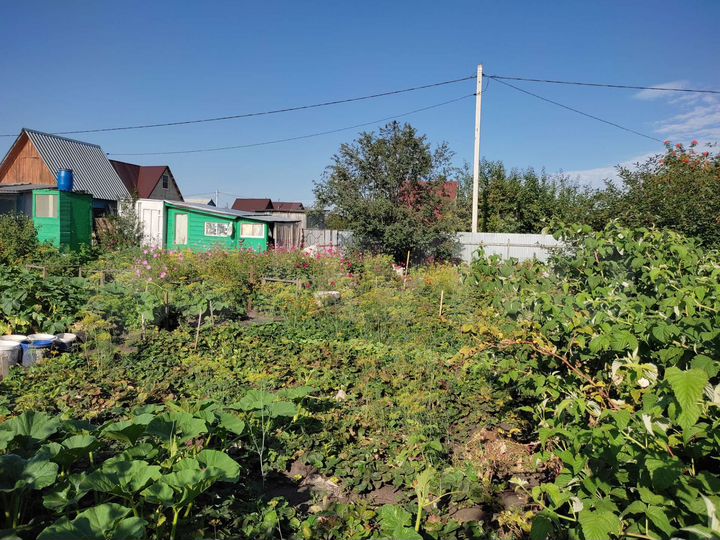 Участок 5 сот. (СНТ, ДНП)