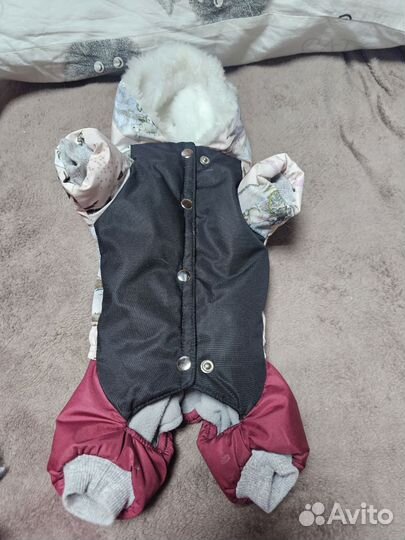 Одежда для маленькой собачки 23 см