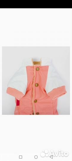 Комбинезон для собаки