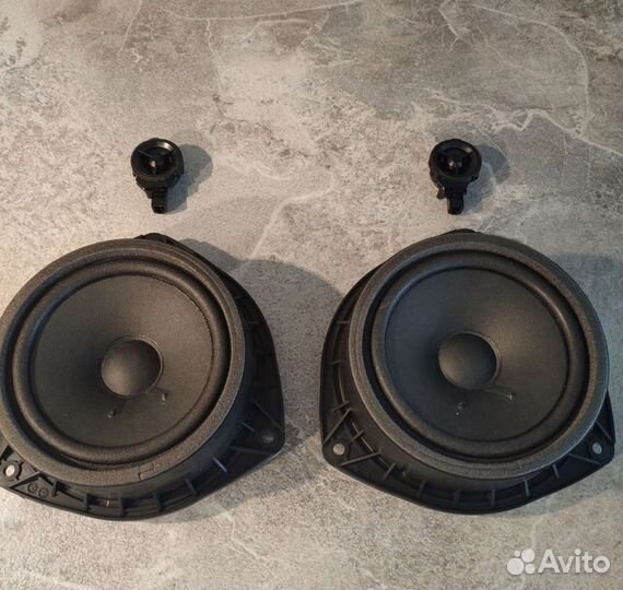 Динамики 25w + 10w