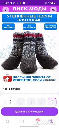 Носки, обувь для собаки