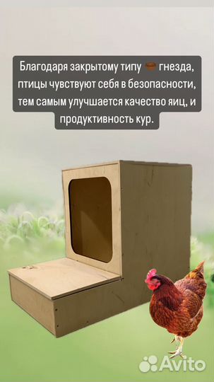 Гнездо для кур с яйцесборником